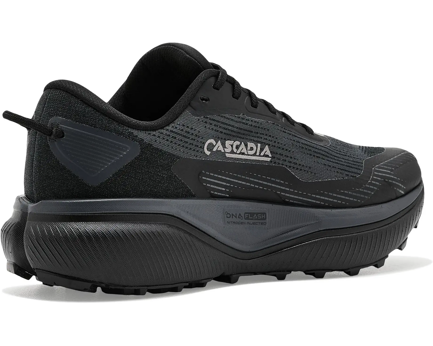 Cascadia 20 Gtx(men's)
